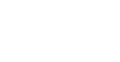 partners who work with in333