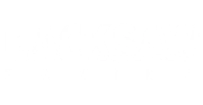 partners who work with in333