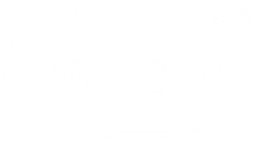 partners who work with in333