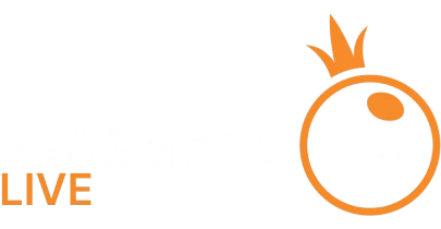 partners who work with in333